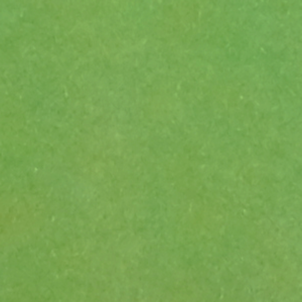 KCFLKBRIGHTGRN.png