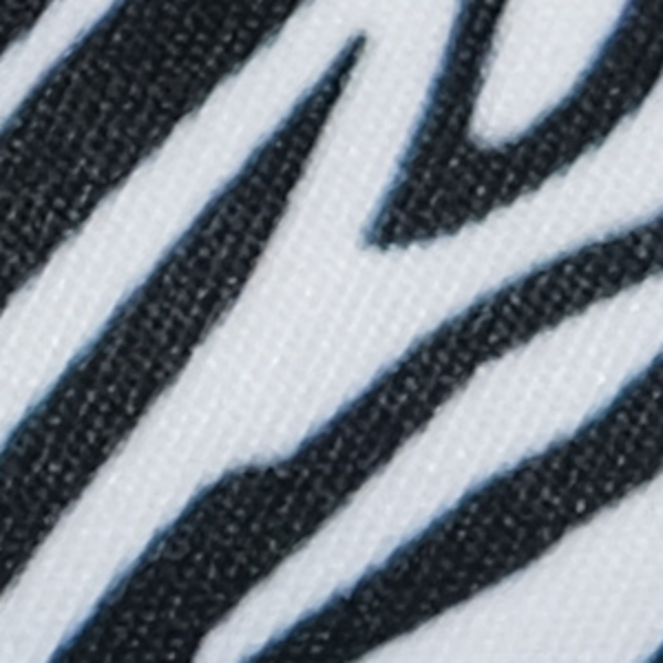 Picture of MINI ZEBRA