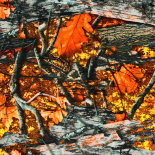 Picture of BLAZIN ORANGE