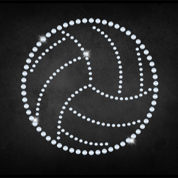 Spangle-Volleyball-2