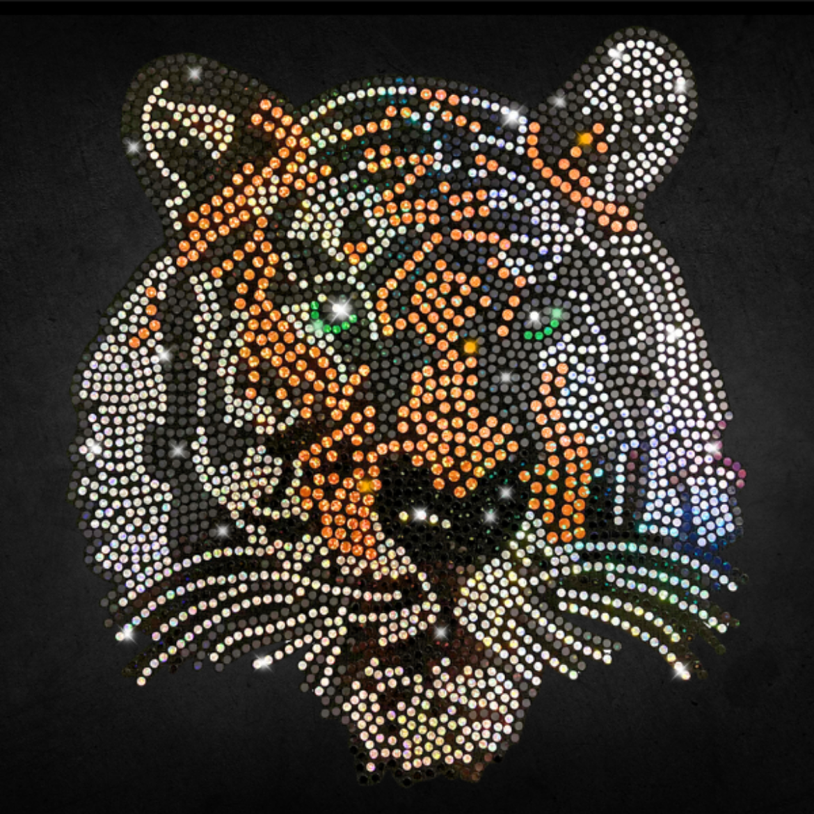 Sp-Stock-Tiger-Face-11