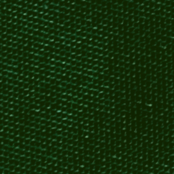 LC6040DARKGREEN.png